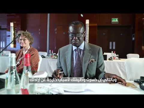 LSE Professor: UAE's Unemployment Insurance, Savings Scheme examples to be followed