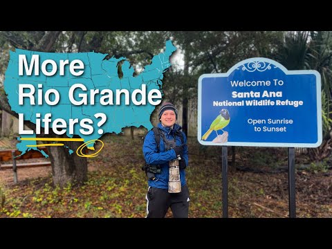 Birding at Santa Ana National Wildlife Refuge in the Rio Grande Valley