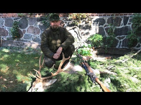 Как начать охотиться в Германии