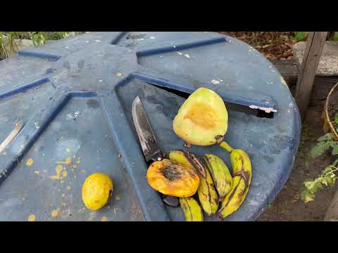 Vila de São Francisco Paulo Jacinto Alagoas ame seu próximo tento faça a diferença 