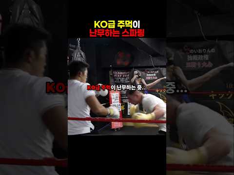세계 최정상급 격투기 선수와 난타전을 벌이는 김동현