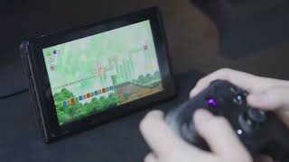 Press B, get A? Not anymore.The #G80TS with THUNDERSWAP auto-switches between PC & NS layouts.