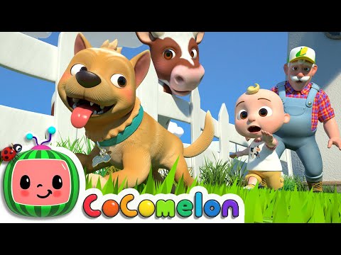 , title : 'Bingo (Farm Version) | CoComelon Nursery Rhymes & Kids Songs'