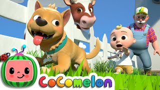 Bingo (Farm Version) | CoComelon Nursery Rhymes &amp; Kids Songs