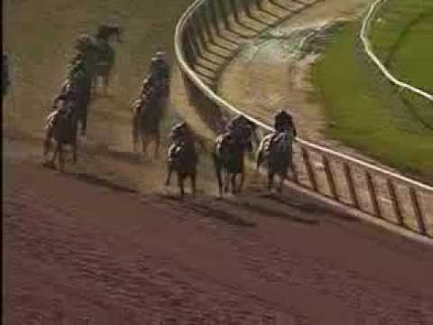 Summer Bird - 2009 Belmont Stakes