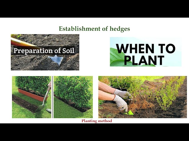 thumbnail of the course