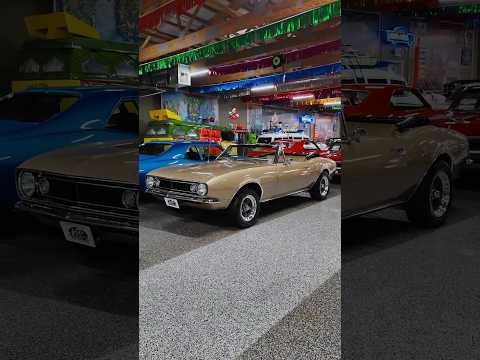 1967 Chevrolet Camaro (CC-2020121) for sale in Volo, Illinois