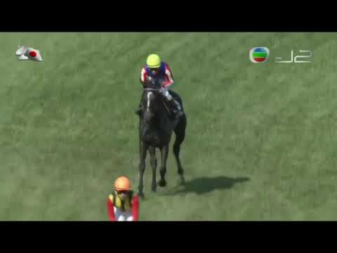 2016 Japan Saffron Sho - Toho Aires (東寶西風) - Y.Shibata