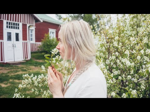 Nordic Summer Routines in the Countryside