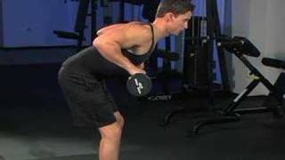 Barbell Rear Delt Row