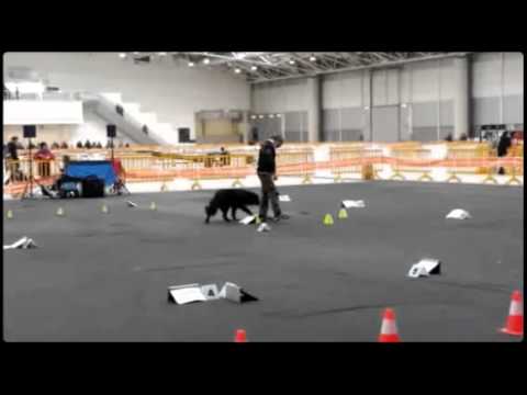 Gara Rally O Csen, 22 03 2015