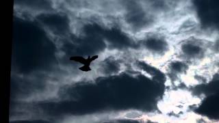 David Luning Tom Dooley