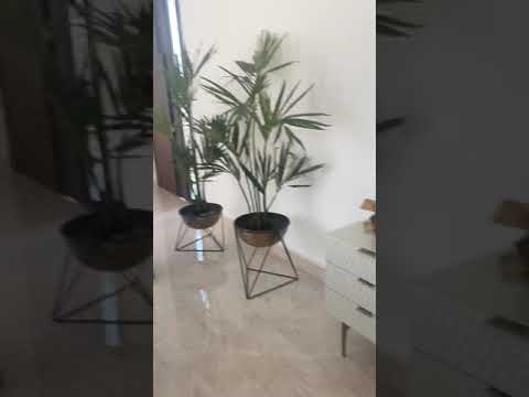 Birthday cakes hamad and fares