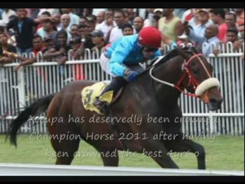 Accupa Legendary Horse.avi