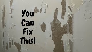 Fix Walls Ruined by Wallpaper Removal - Spencer Colgan