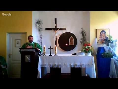 Msza święta niedzielna 19 czerwca 2016 r. godz. 11.00