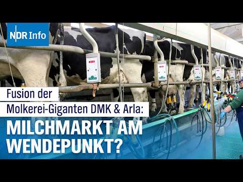 DMK-Arla: Was bedeutet Molkerei-Fusion für Landwirte und Milchbranche? | NDR Info