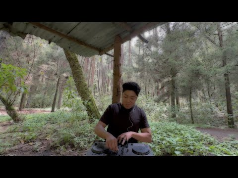 Forest Deep House Session || Dj mix by LELALE