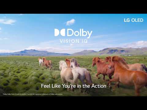 LG A1 Smart OLED TV (2021)