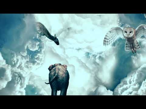 Ambient Guitar and Synthesizer jam