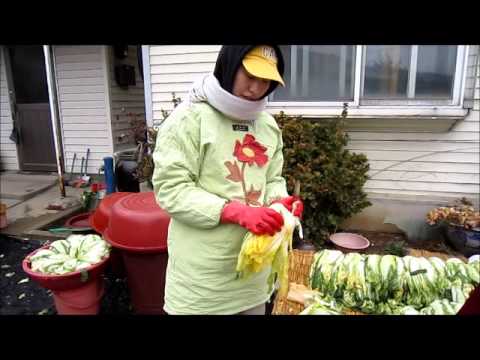 How to make Kimchi?
