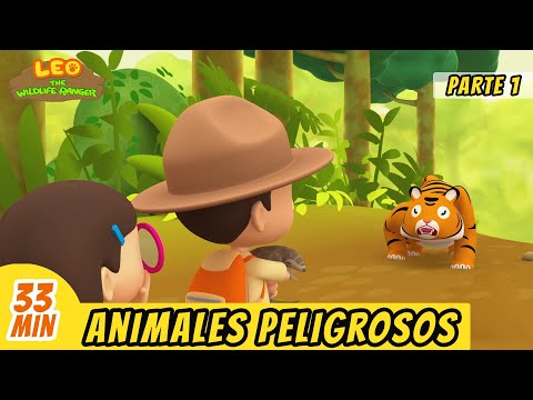 Animales Peligrosos Episodio Compilación [Parte 1/2] (Español) - Leo, El Explorador | Animación
