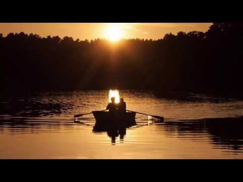 Murray Head - Affair Across A Crowded Room (A gauche en sortant de lascenseur OST)