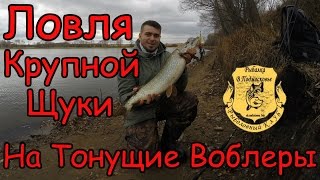 Тонущие воблеры минноу