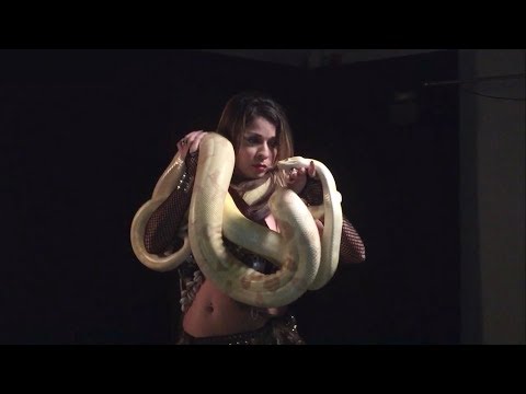 Los Angeles Belly Snake Dancer