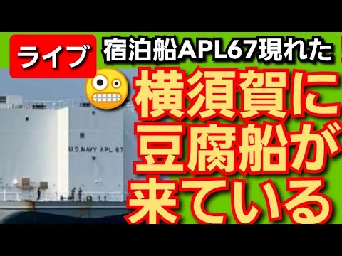 横須賀に豆腐船が来ている‼️宿泊船APL67横須賀港に現わる‼️都内に護送車‼️2022年6月2日‼️🙇&zwj;♂️