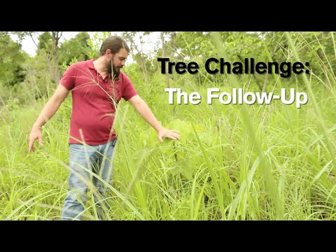This man from Lusaka, planted over 500 trees, in 2023 | Project Update 2025