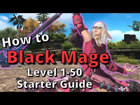 Dawntrail Black Mage Starter Guide for Level 1-50: New to the job? Start here!