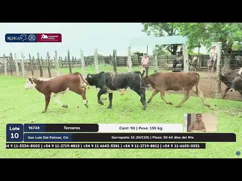 17-04-26 - Remate de Rosgan - Especial Gananor Pujol - Goya, Corrientes