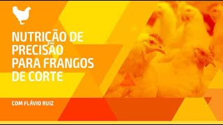 Nutrição de precisão para frangos de corte