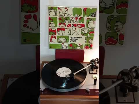 ✨️Wynder K.  Frog - Zooming