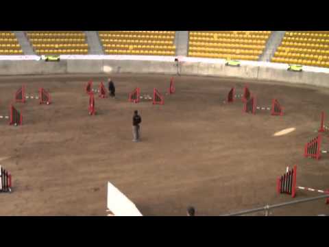 Amin and Bella 1st Mute Jumping - Nationals 2013