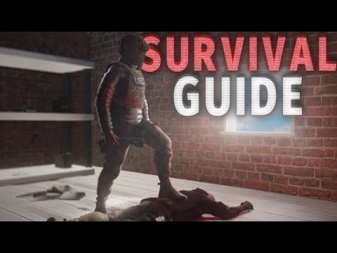 12.12 PROGRESSION GUIDE (level up fast) - Escape From Tarkov