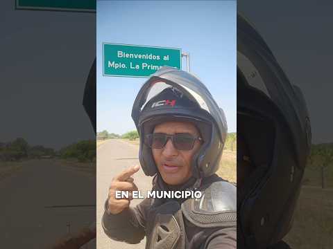 Festival del curito en la primavera vichada