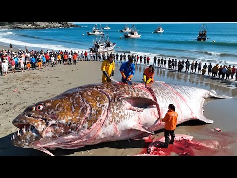 The Sea Hunter and 3 more