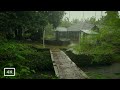 I Walked In This Heavy Monsoon Rain To Relax My Mind And Fill It With Positive Energy ASMR Rain