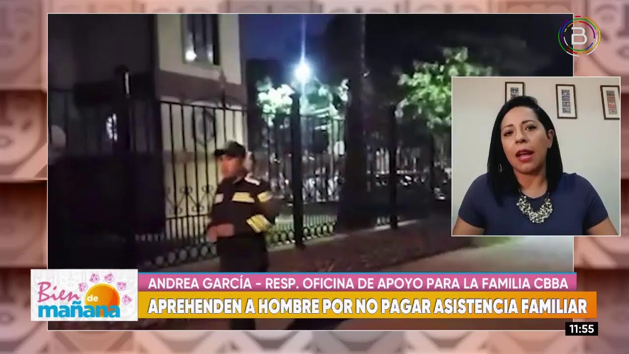 ¿Qué es la asistencia familiar y qué comprende