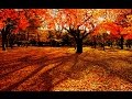 Romantic Music Mix VII - (Youtubers Special ...