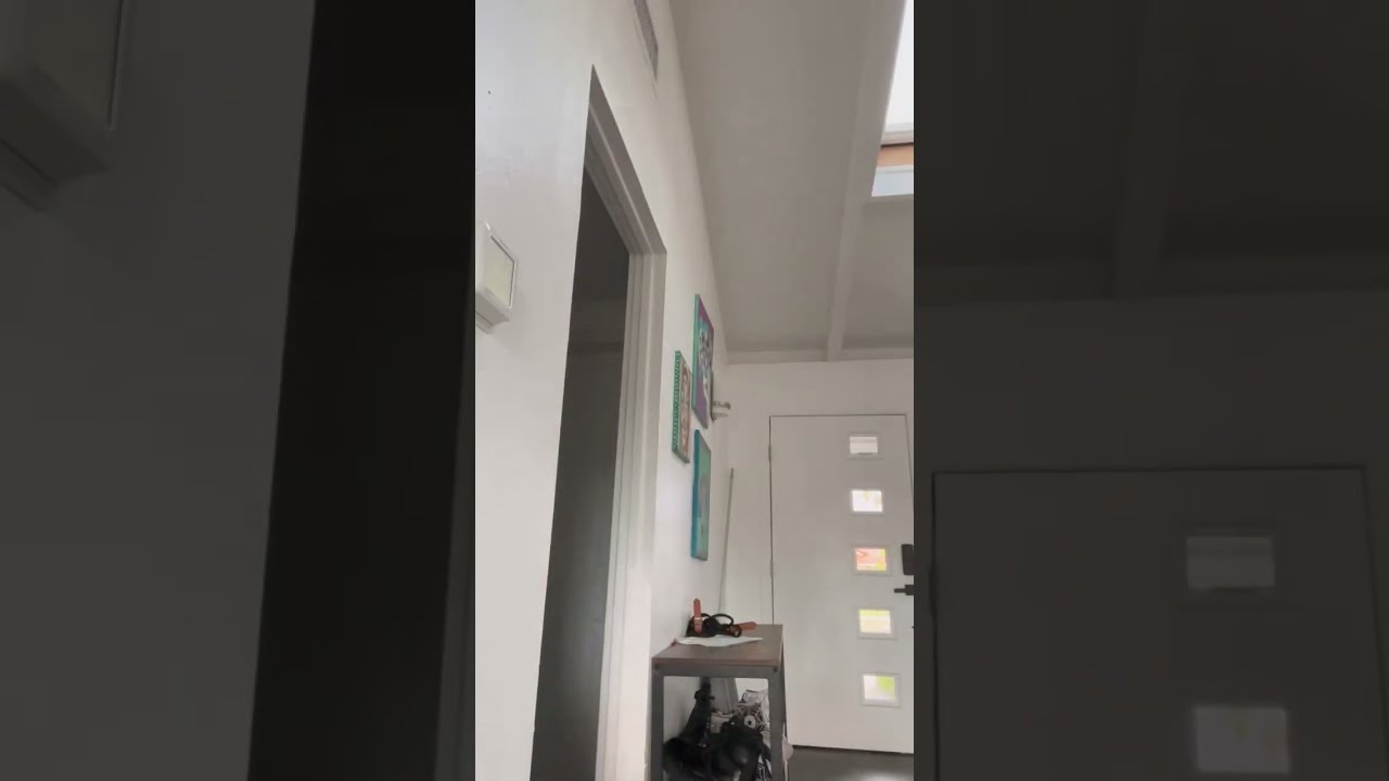 How Do You Get To Know SO MANY Things? 🤔 w OnlyJayus - #Shorts