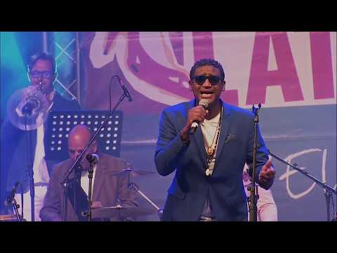 NEW YORK SALSA ALL STARS (w/ Jose Alberto EL CANARIO // Jimmy Bosh // Nora) at FESTIVAL TEMPO LATINO