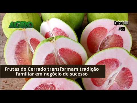 Doces tradicionais feitos com frutas do Cerrado transformam tradição familiar em negócio de sucesso