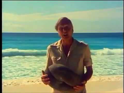 coco de mer nut video intor