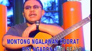 Awewe Sapi Daging   Doel Sumbang