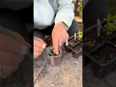 Turning trash into gardening tools