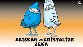 Akışkan vs Kristalize Zeka