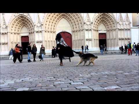 TRAILER  Lauriane & Prisca (amazing dog)